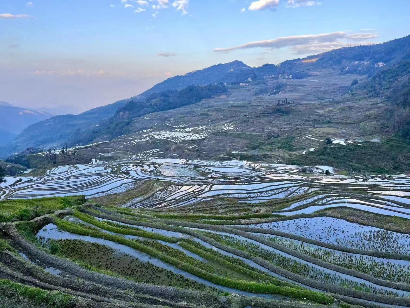 Yuanyang Flower And Horse Inn 외부 사진